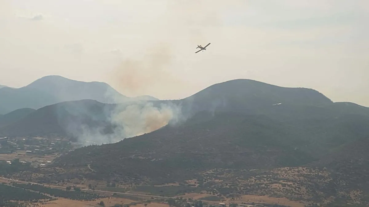İzmir’de orman yangını! Alevlere havadan ve karadan müdahale ile kontrol altında