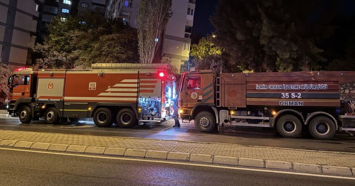 İzmir’de orman yangını