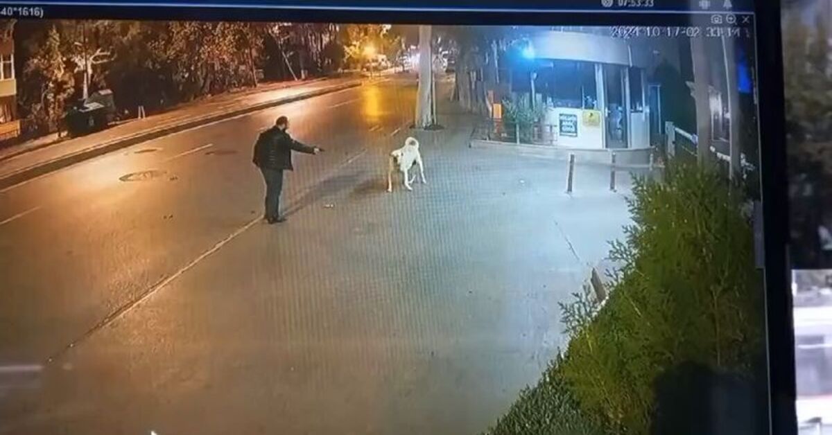 Köpeğe silah çeken adam tutuklandı