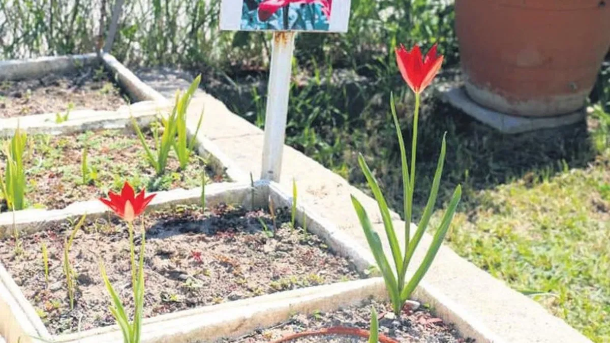 Yitik Lale anavatanına kavuştu